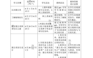 小学Steam课程案例如何设计更有效？