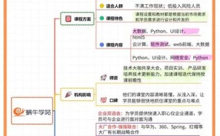 Python网络课程怎么学更高效？