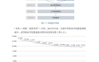职业学校发展部总结报告有何亮点与不足？
