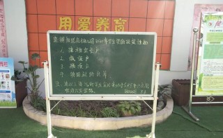 资助标准是怎样的？