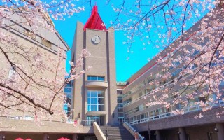 日本学前教育专业大学有哪些推荐？