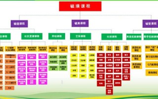 学前教育课程组织原则有哪些？