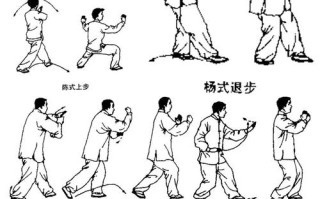 太极自学教程视频哪里下载？