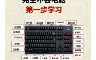 新手如何自学电脑课程视频？