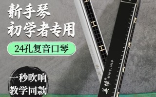 C调口琴自学视频，新手如何快速上手？