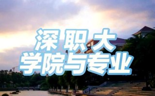 深大专职研究员职业发展路径如何？