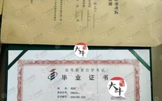 大一自学可考哪些高含金量证书？