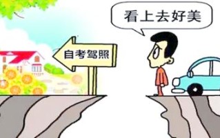 自学自考驾照，哪些城市试点？