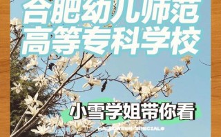 首师大学前教育学院网站有何特色？