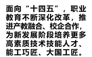 职业教育如何支撑国家发展战略？