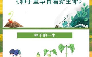 学前儿童科学教育课件如何科学设计？
