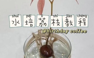 荔枝微课怎么结束课程