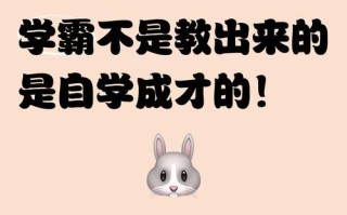 自学成才的人都很厉害