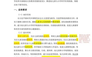 学前教育学校组织意见有何核心内容？