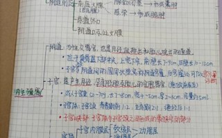 护士二类学分自学笔记如何有效获取？