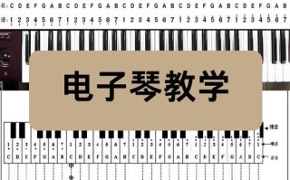 电子琴课程费用一般是多少？