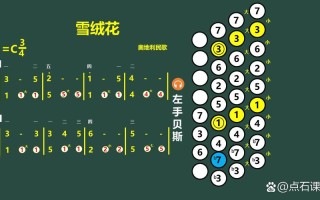 脚踏风琴自学入门教程该怎么学？