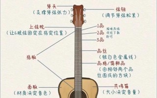 吉他入门视频教程，新手怎么自学？