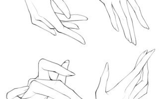 画画入门初学，自学技巧从何学起？