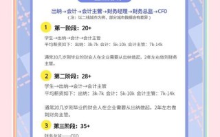 会计在公司职业发展设想