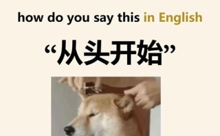 自学英语如何从头开始有效学？