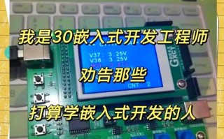 自学嵌入式系统设计师，如何高效入门？