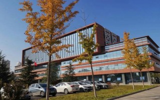 北大就业中心有何核心职能与最新动态？