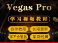 Vegas自学教程，新手如何快速上手？