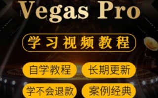 Vegas自学教程，新手如何快速上手？