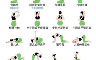 自学瑜伽先学什么开始