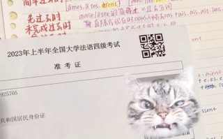 法语四级自学难度大吗？