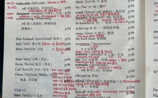 新发展职业英语Unit13核心内容是什么？