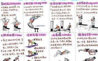 体育与健康课程有何独特特性？