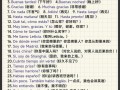 西班牙语免费自学视频