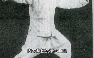 内家拳之入门自学教程