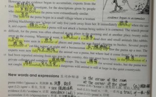 新概念三册自学如何高效掌握？