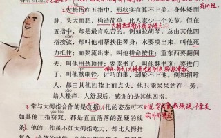 五指活动课程是什么？