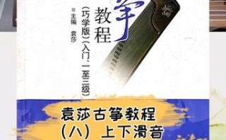 袁莎古筝自学速成教程