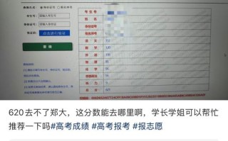 河南自学考试成绩单怎么查？