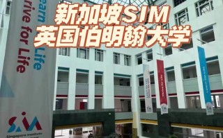 新加坡SIM学前教育怎么样？