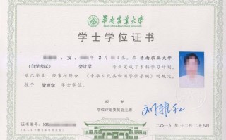 自学考试本科证书怎么查？