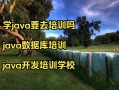 Java培训课程视频哪个好？