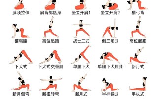 瑜伽初级课体式如何科学编排？