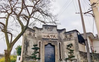 中国职业学院发展历程有何关键节点？