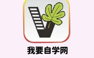 自学网登录遇到问题怎么办？