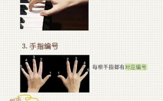 钢琴入门自学视频教程怎么学才有效？