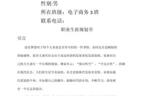 电商和职业生涯发展论文