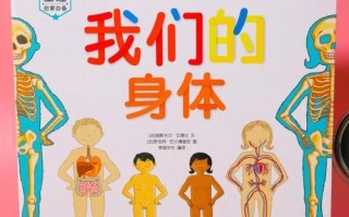 学前儿童性别角色发展分哪几阶段？