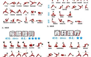 形体课具体包含哪些课程内容？