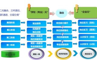 职教改革如何平衡多重关系？